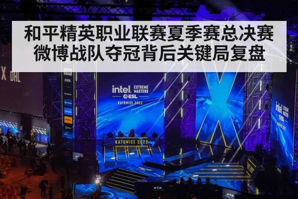 和平精英职业联赛夏季赛总决赛微博战队夺冠背后关键局复盘 | kaiyun