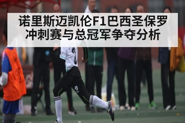 诺里斯迈凯伦F1巴西圣保罗冲刺赛与总冠军争夺分析（kaiyun）